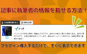Fancier Author Box　インストール